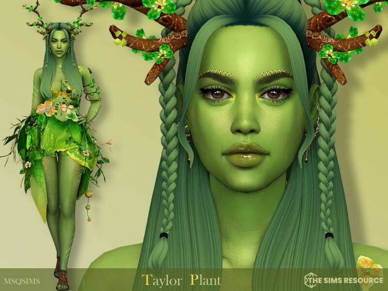 Taylor Plant – TSR CC Only By Msqsims Sims 4 CC