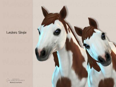 Horse Eyelashes Shyla Sims 4 CC