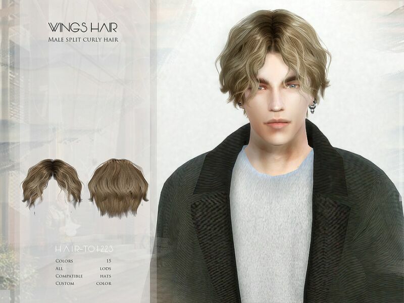 Male Split Curly Hair – TO1223 By Wingssims Sims 4 CC