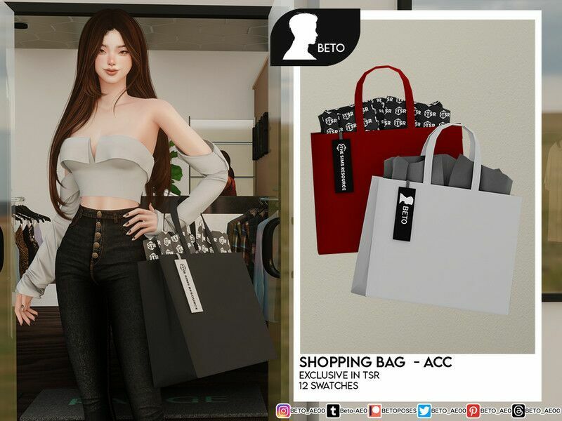 Shopping BAG (ACC) Sims 4 CC