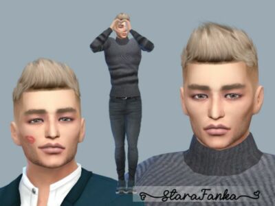 TIM Nielsen By Starafanka Sims 4 CC