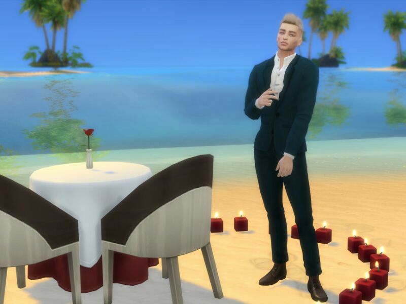 TIM Nielsen By Starafanka Sims 4 CC Download