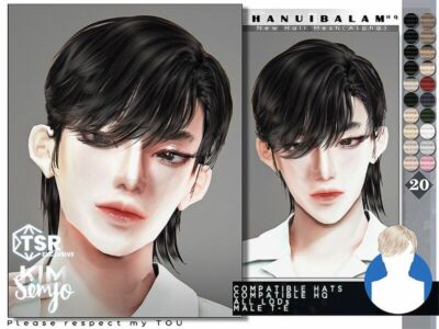 TS4 Male Hairstyle_Hanuibalam By Kimsimjo Sims 4 CC