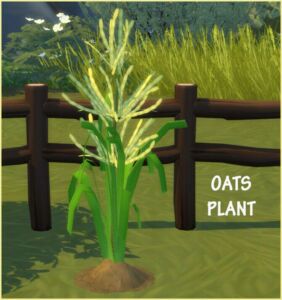 Harvestable Oats Sims 4 CC