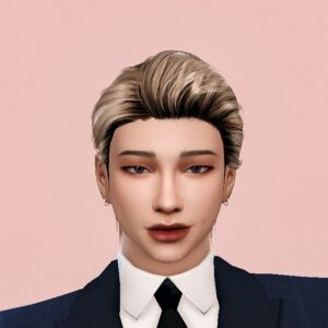 The | BTS KIM Namjoon | Male Sims 4 CC