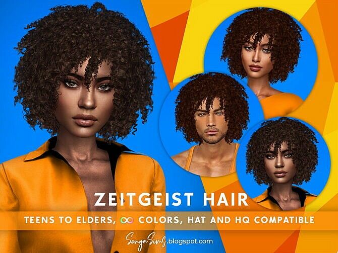 Zeitgeist Afro Hair Sims 4 CC