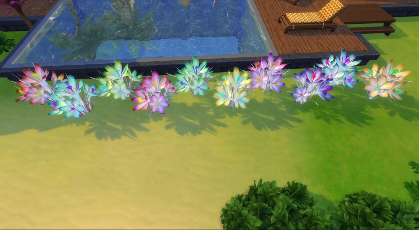 sims 4 cc crocus vernus 4