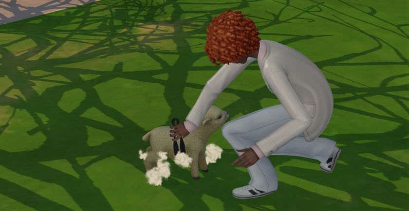 sims 4 cc sheep and llama shear overrides plus hanging 2