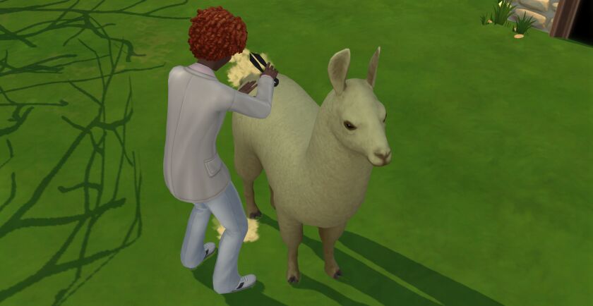 sims 4 cc sheep and llama shear overrides plus hanging 3