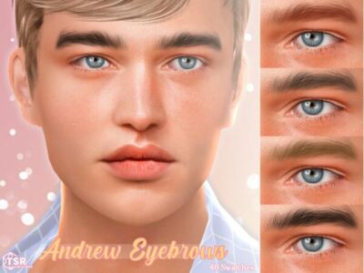 Stylish Andrew Eyebrows for Your Sims Sims 4 CC