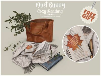 Dust Bunny Cozy Reading Gift Sims 4 CC