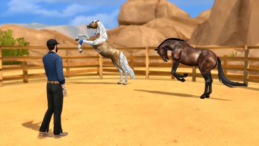 Horse Rescue And Rehabilitation Pack Sims 4 CC