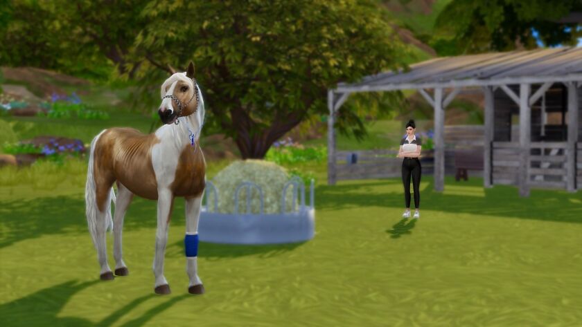 sims 4 cc horse rescue and rehabilitation pack pure winter 4