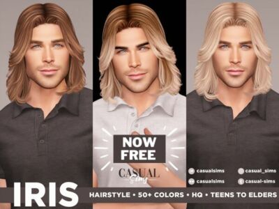 Iris Male Hairstyle Sims 4 CC