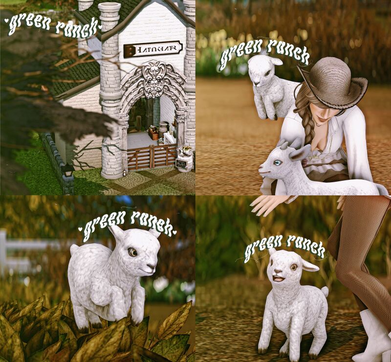 sims 4 cc preset green ranch ghostlias 2