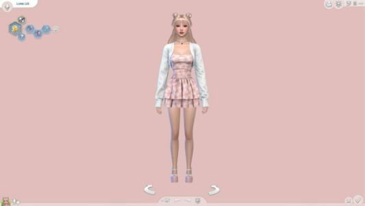 Rose Pink CAS Backgrounds Sims 4 CC