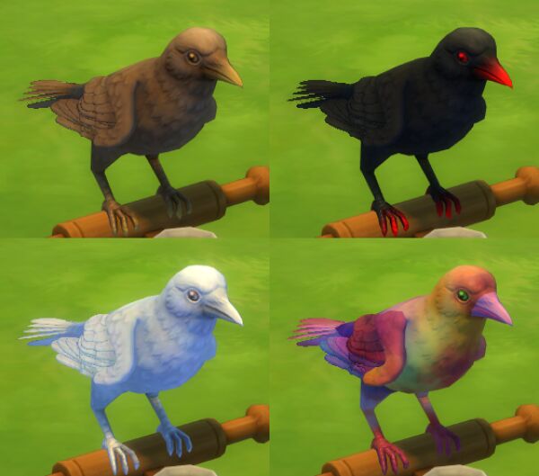 More Crows by Xetto Sims 4 CC