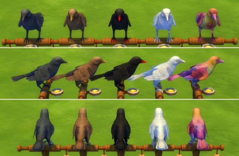 sims 4 cc more crows by xetto 2