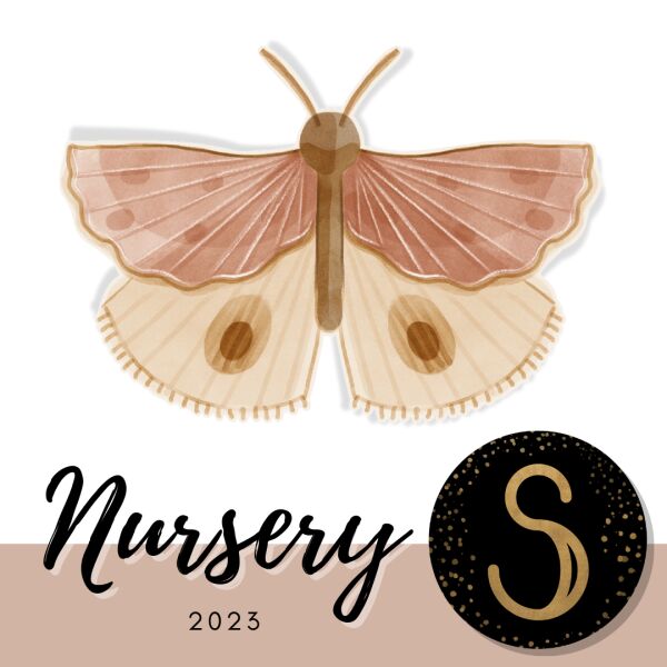 Charming Butterfly Wall Stickers for Nursery Sims 4 CC