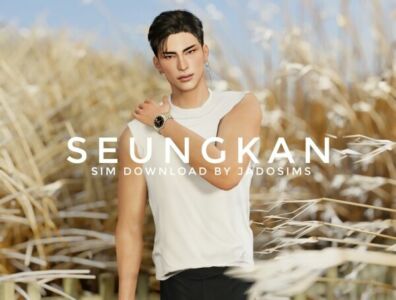 Seungkan (SIM Download) Sims 4 CC