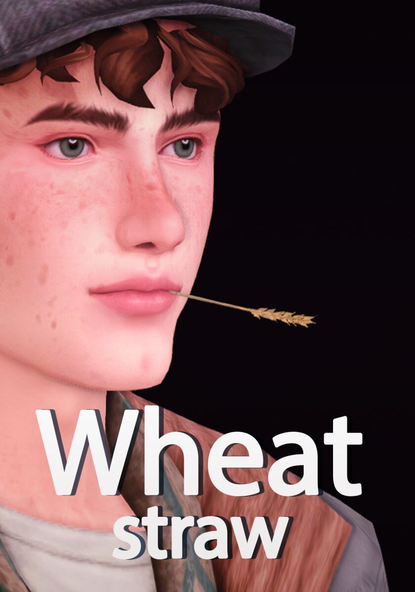 sims 4 cc wheat straw cas accessory 2