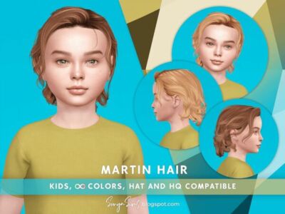 Charming Martin Hair for Boys Sims 4 CC