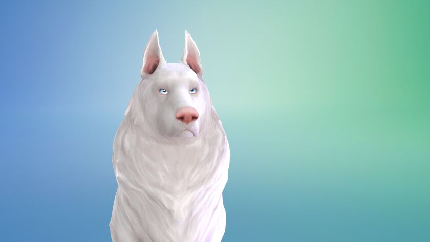 Transform Your Dog’s Ears with This Custom Model! Sims 4 CC