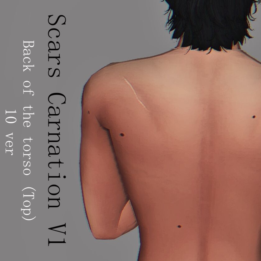 Introducing Scars ‘Carnation’ Version 1 Sims 4 CC