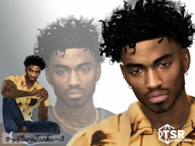 Troy Tanner By Starafanka Sims 4 CC