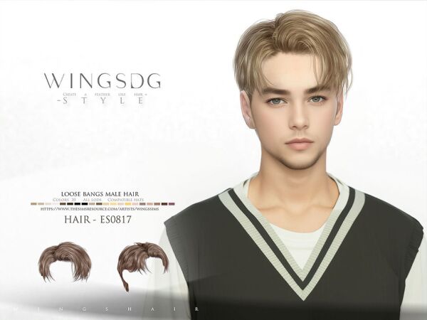 Stylish Loose Bangs Male Hair for Sims Sims 4 CC