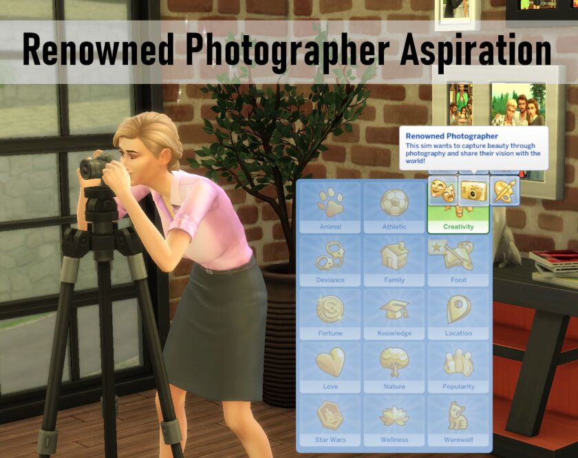 Updated Renowned Photographer Aspiration for Sims Sims 4 CC