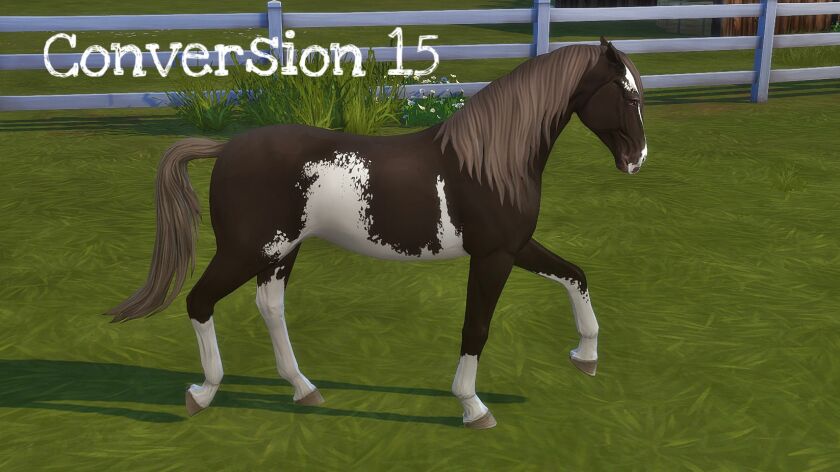 sims 4 cc sso coat conversions pt 2 heres part 1 if yall 5