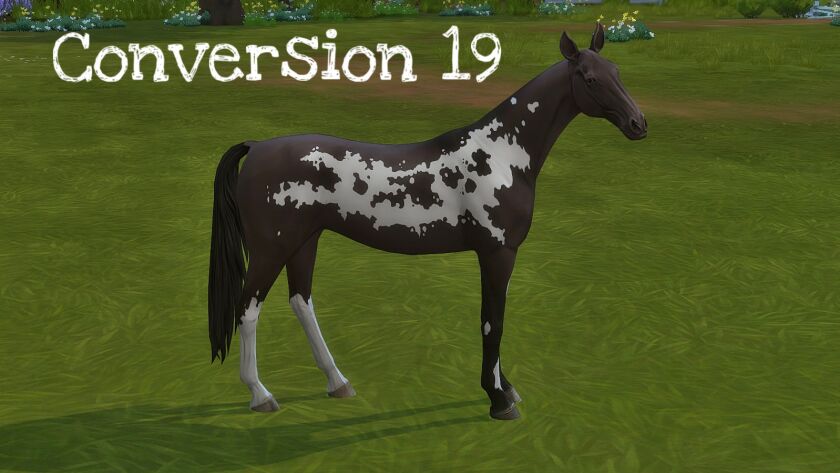 sims 4 cc sso coat conversions pt 2 heres part 1 if yall 9